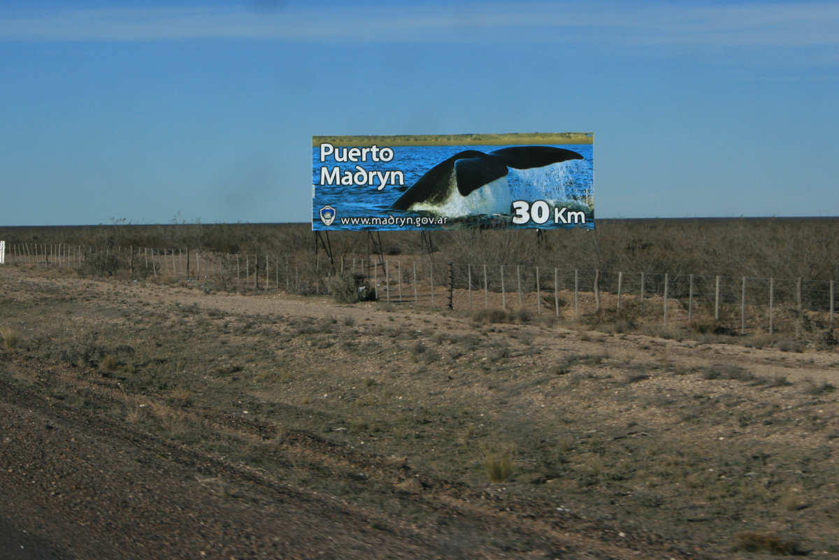 Sur la route en direction de Puerto Madryn